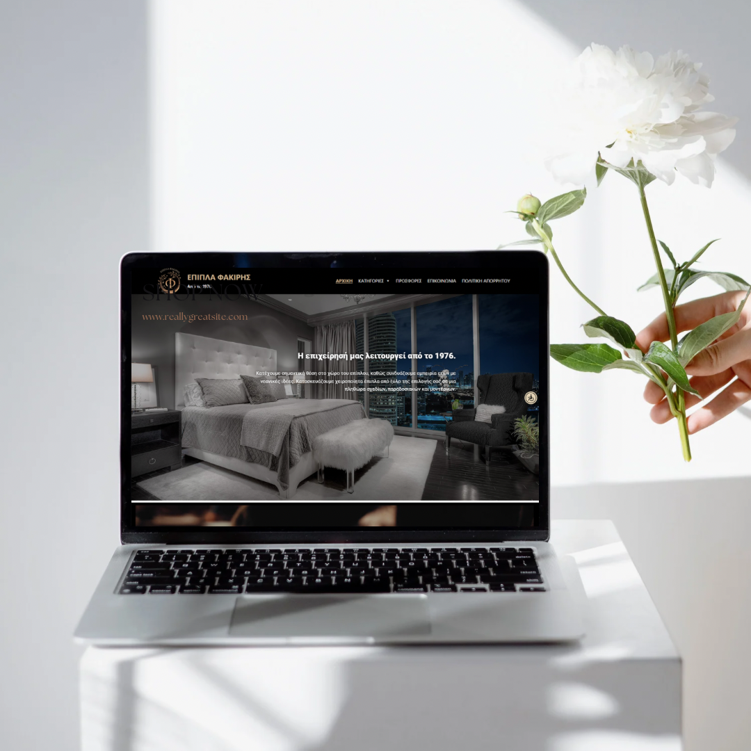 Laptop Mockup of Epipla Fakiris Website Homepage.
